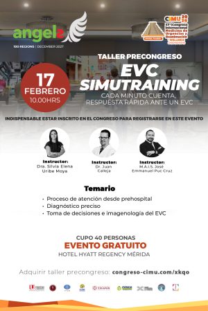 EVC Simutraining F